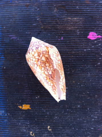 Textile Cone